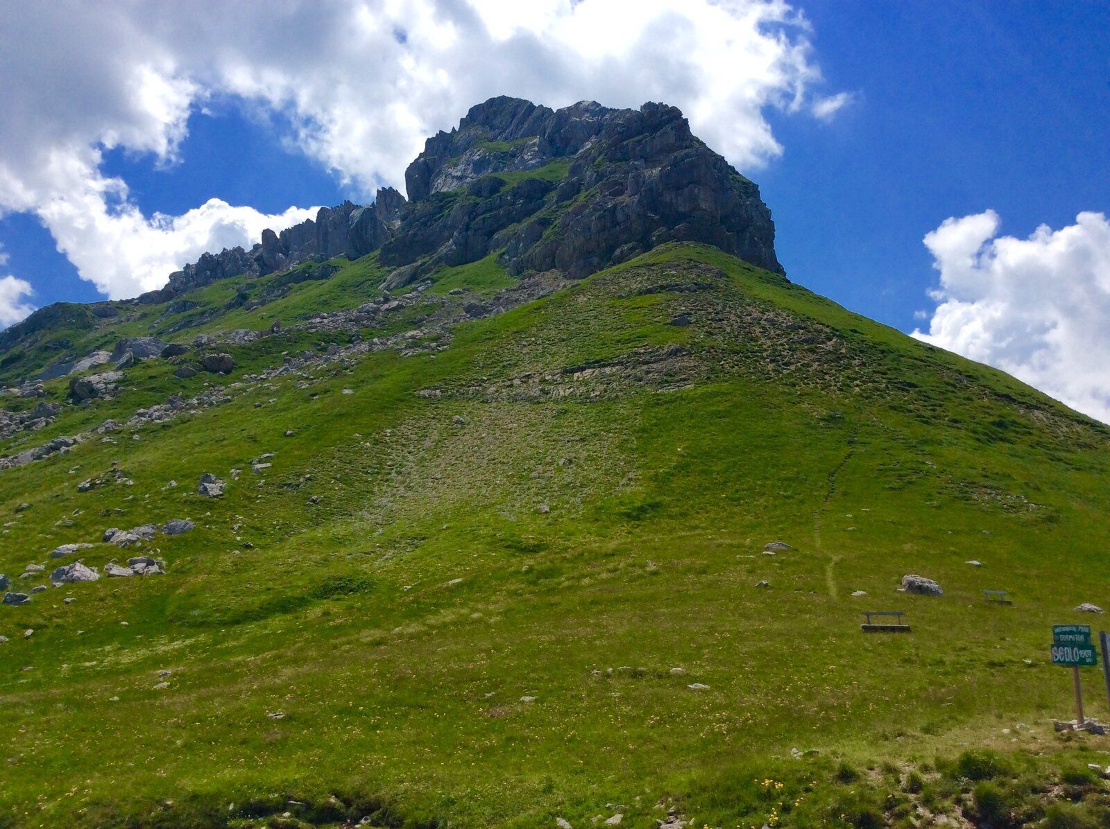 2019-07-05 11.31.56.jpg