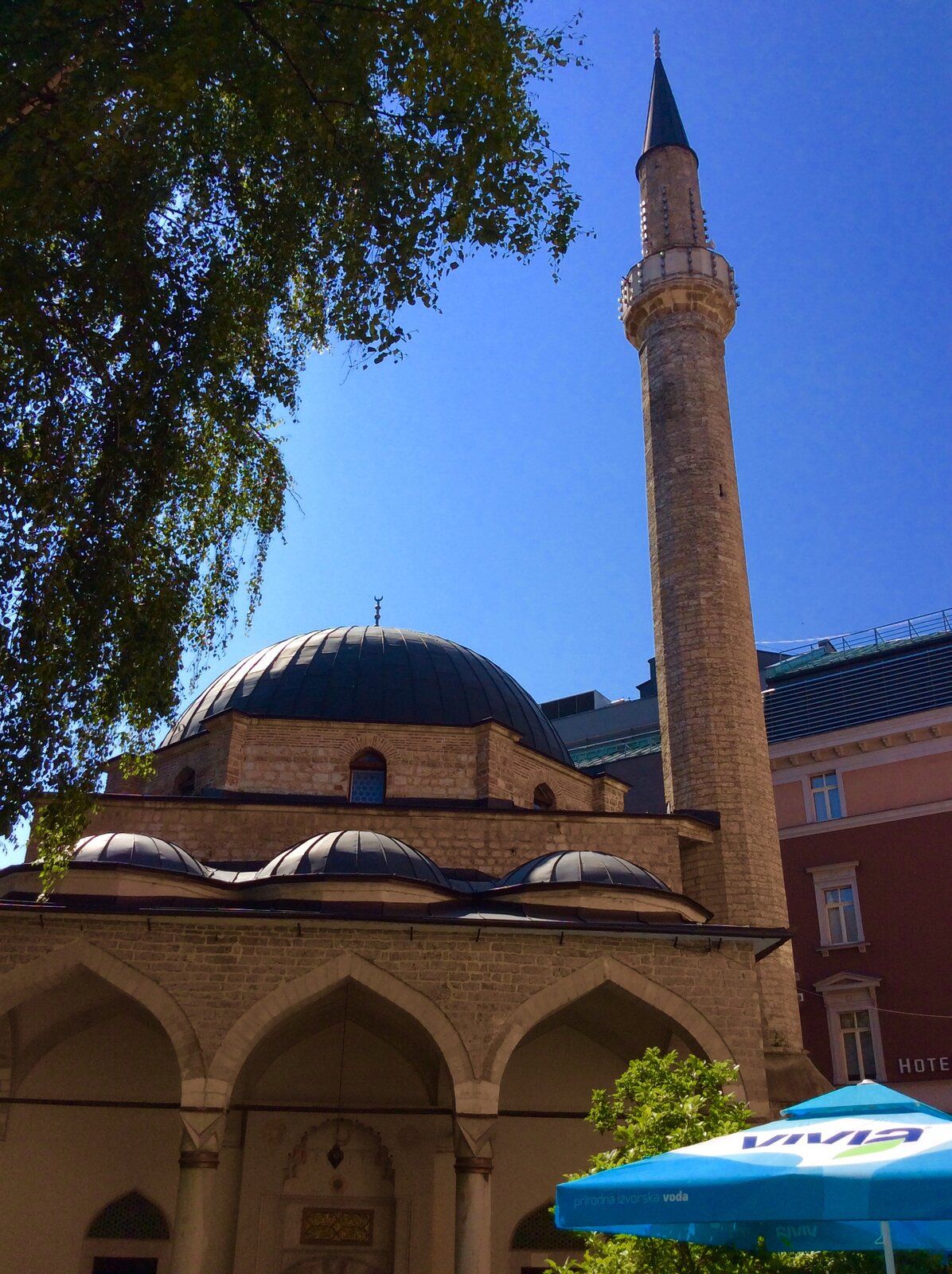 2019-07-06 08.53.33.jpg