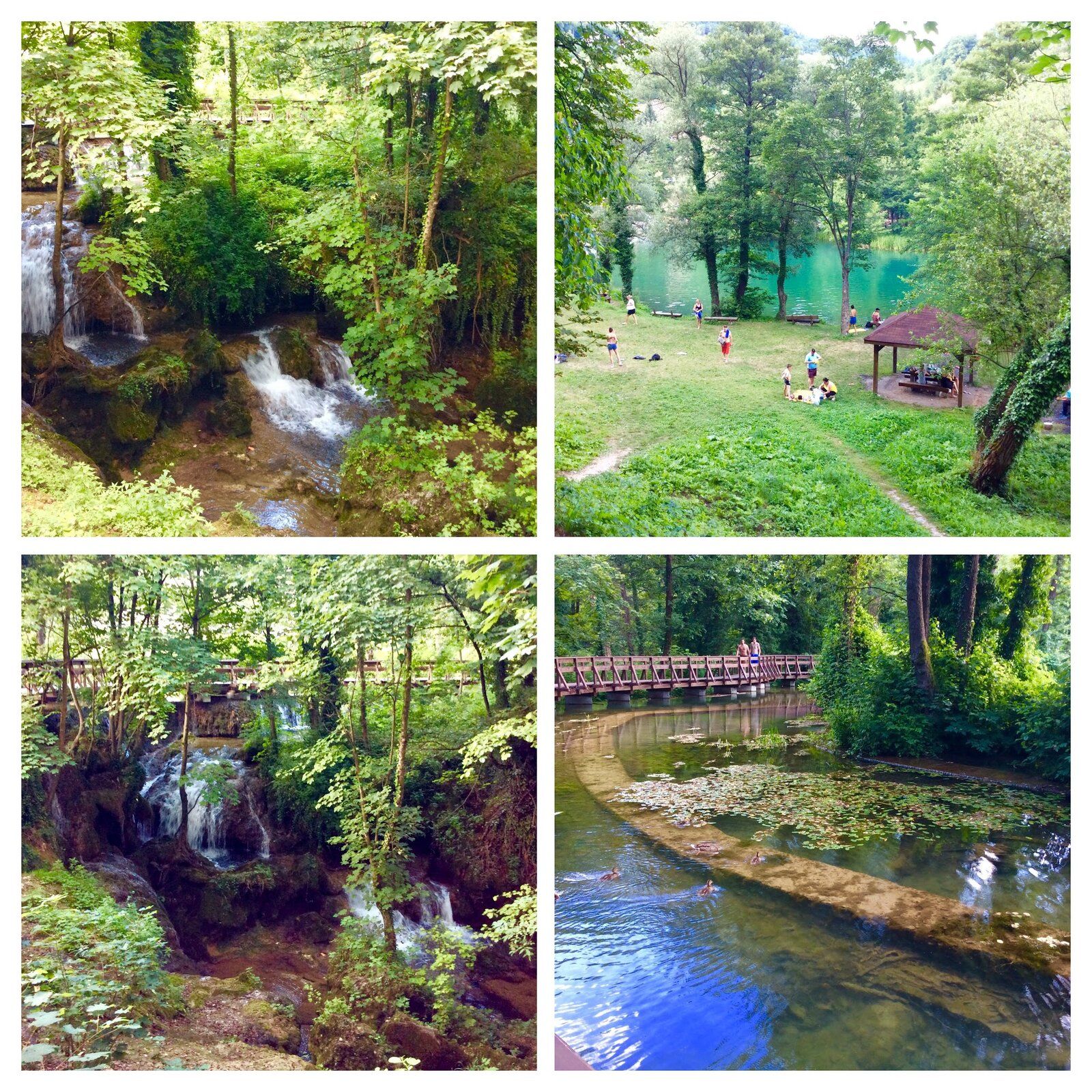 2019-07-06 16.54.39-COLLAGE.jpg