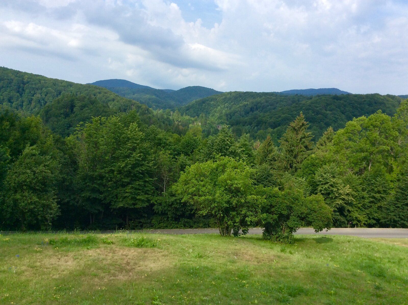 2019-07-07 07.39.59.jpg