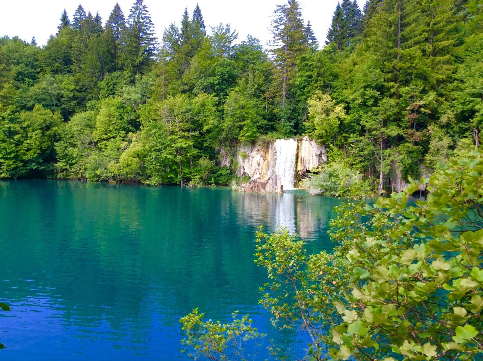 2019-07-07 08.38.09.jpg