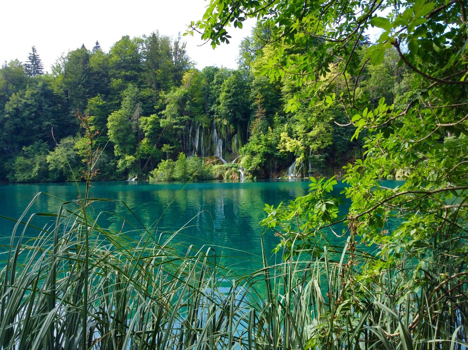 2019-07-07 08.40.11.jpg