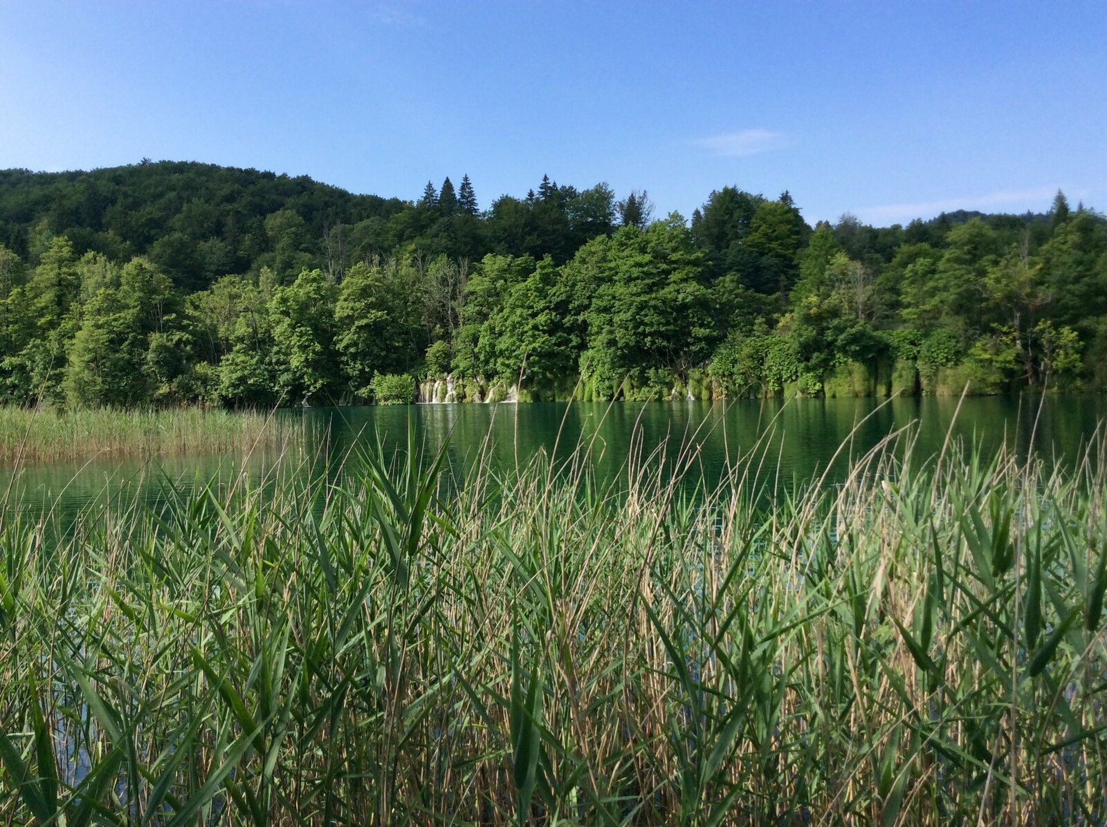 2019-07-07 08.48.47.jpg