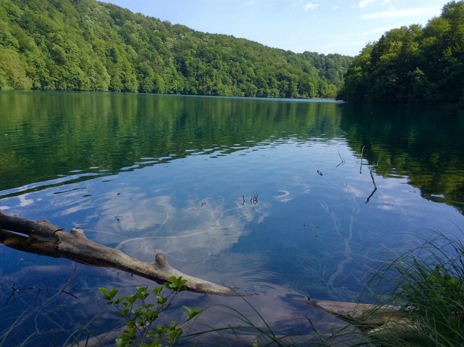 2019-07-07 09.04.52.jpg