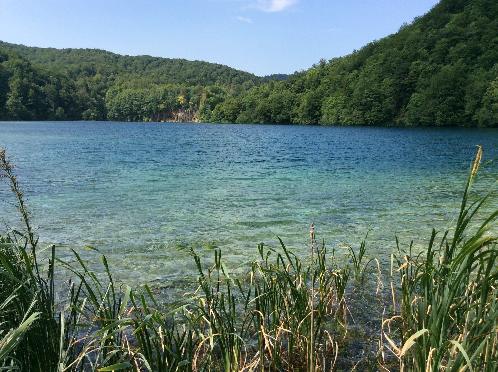 2019-07-07 09.18.51.jpg