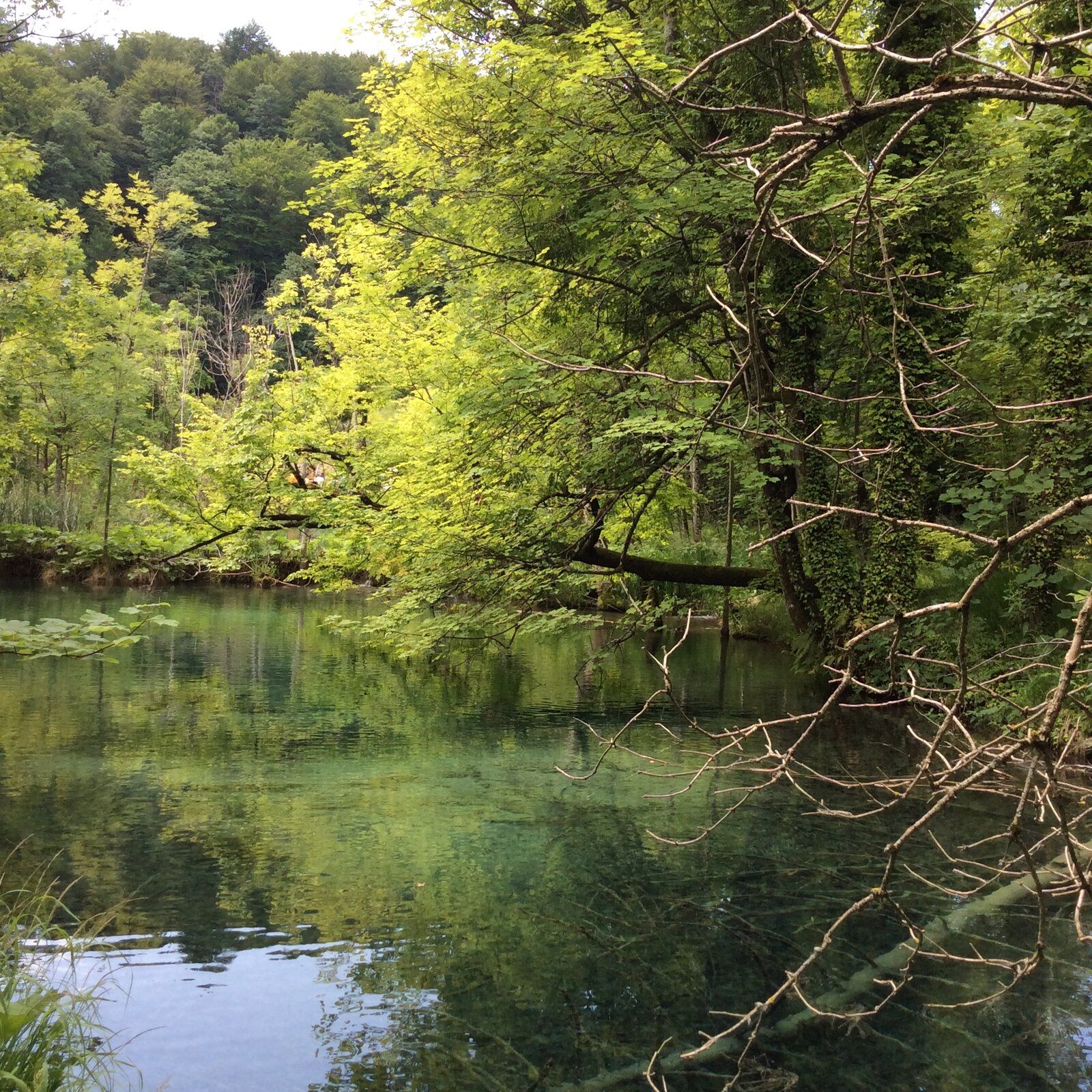 2019-07-07 09.30.52.jpg