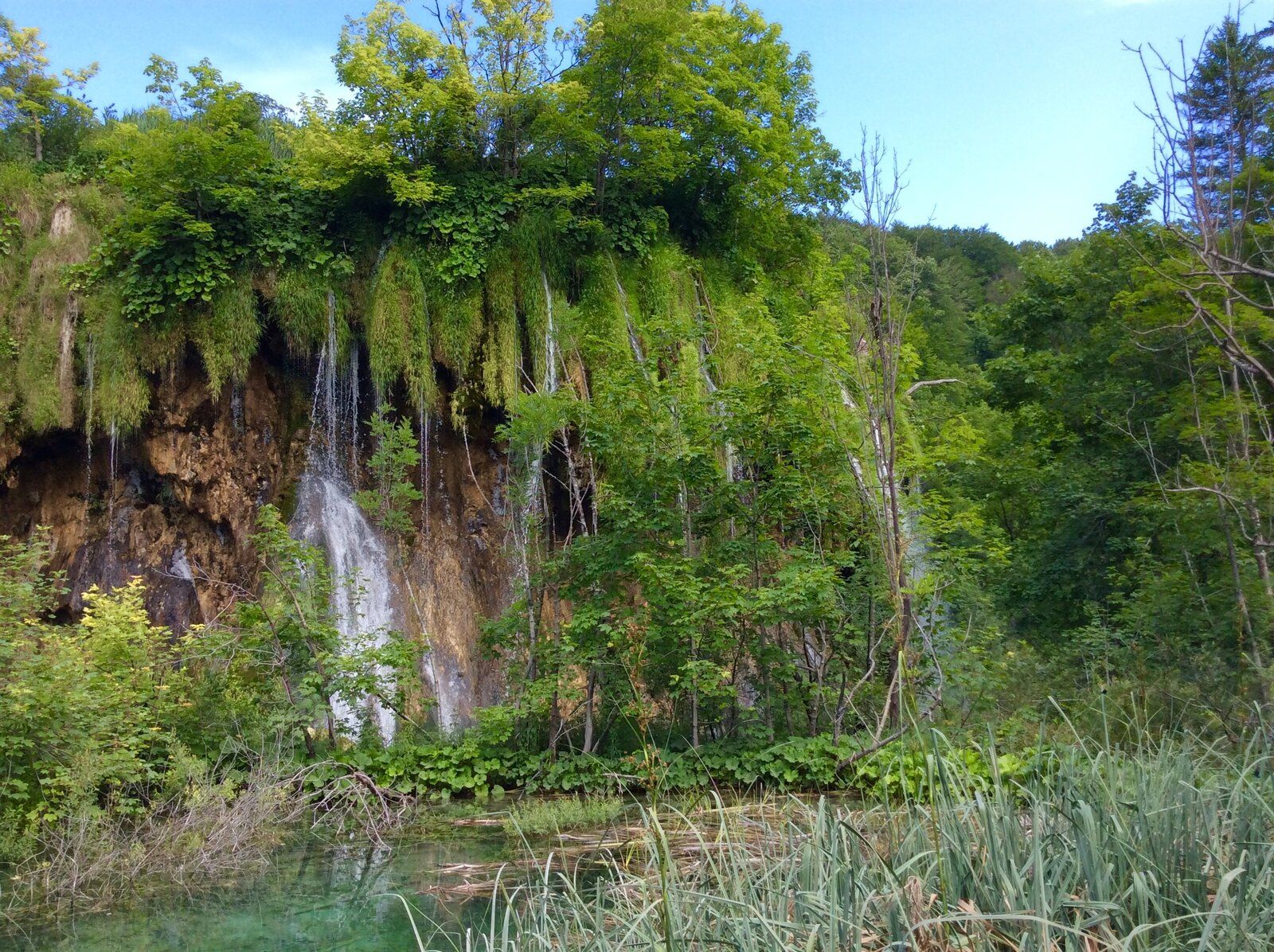 2019-07-07 09.34.51.jpg