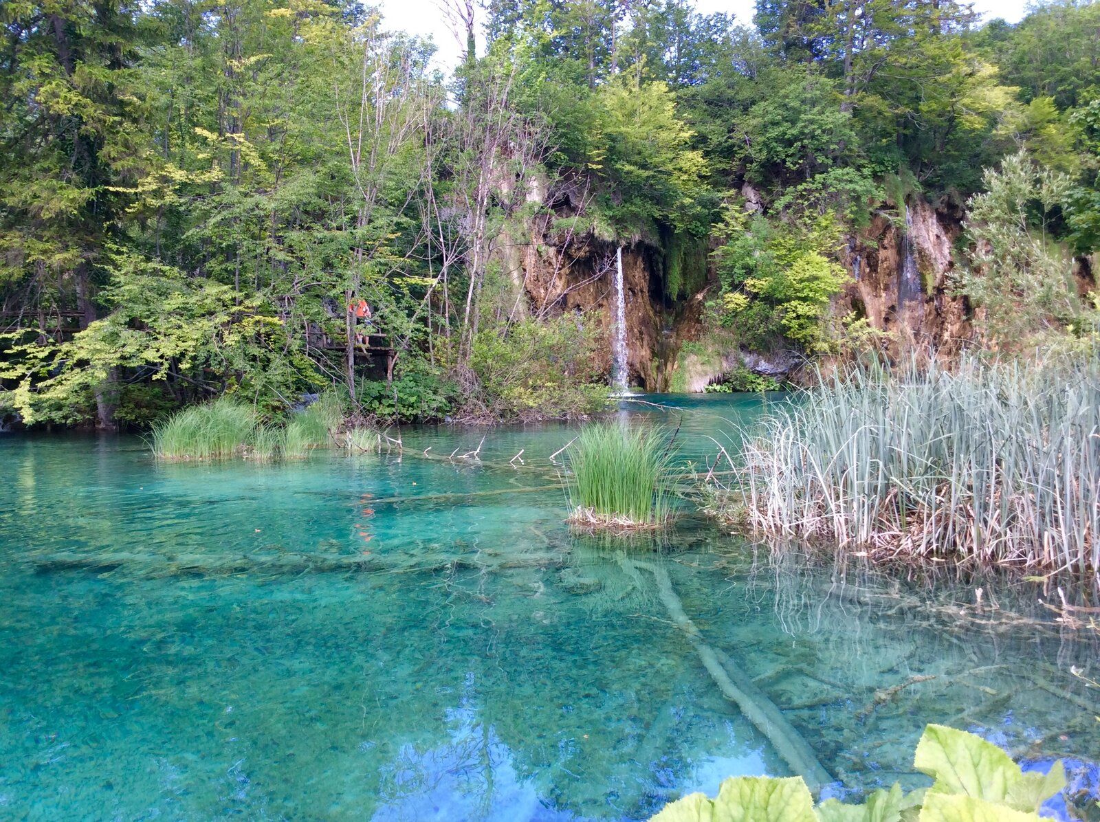 2019-07-07 09.38.12.jpg