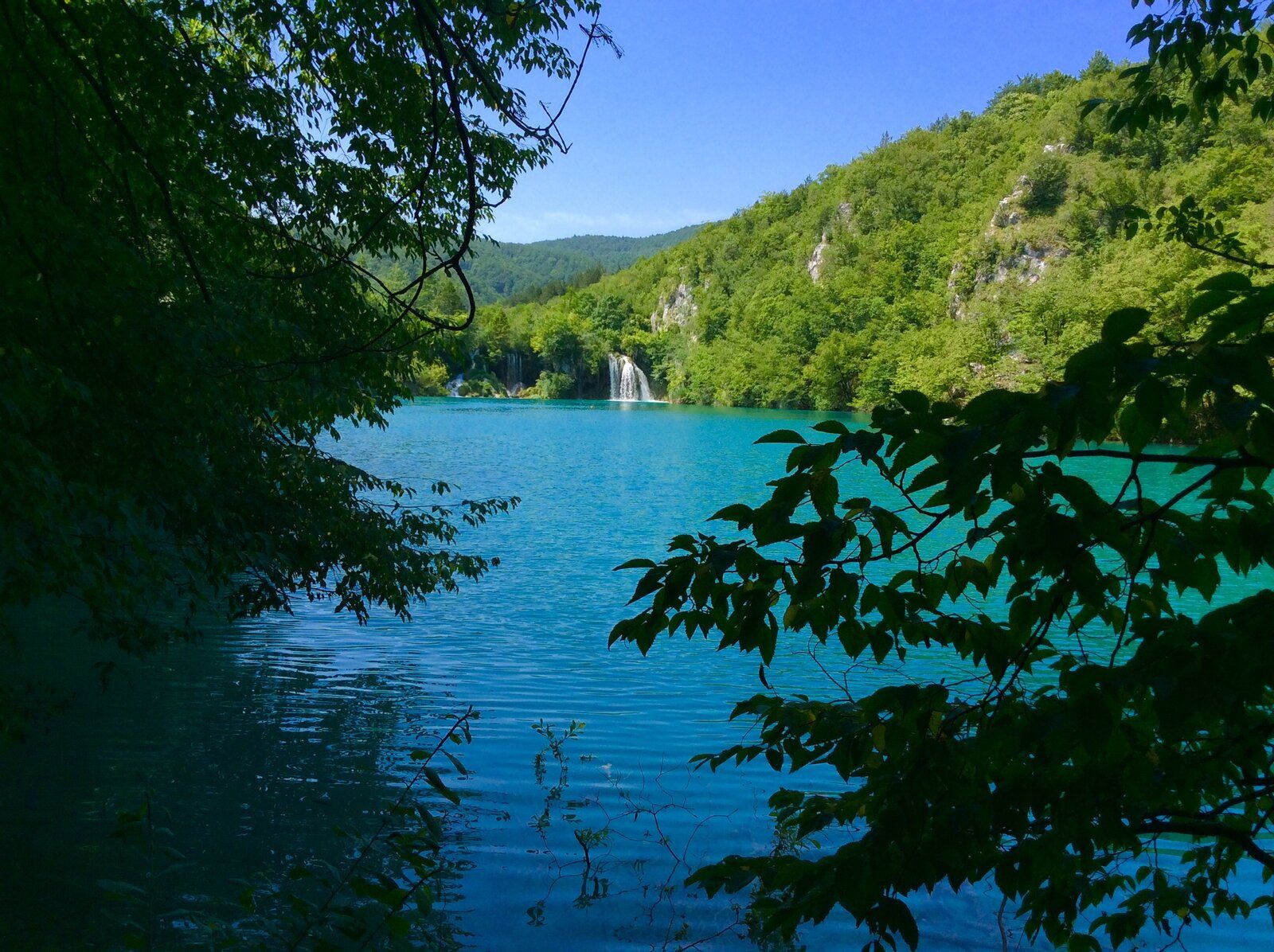 2019-07-07 10.39.36.jpg