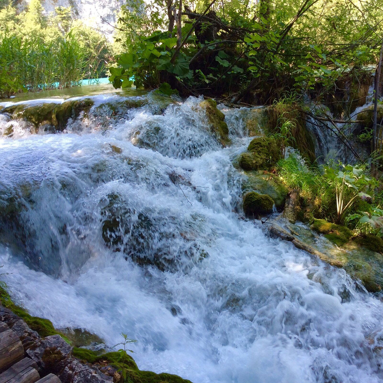 2019-07-07 10.44.12_1.jpg