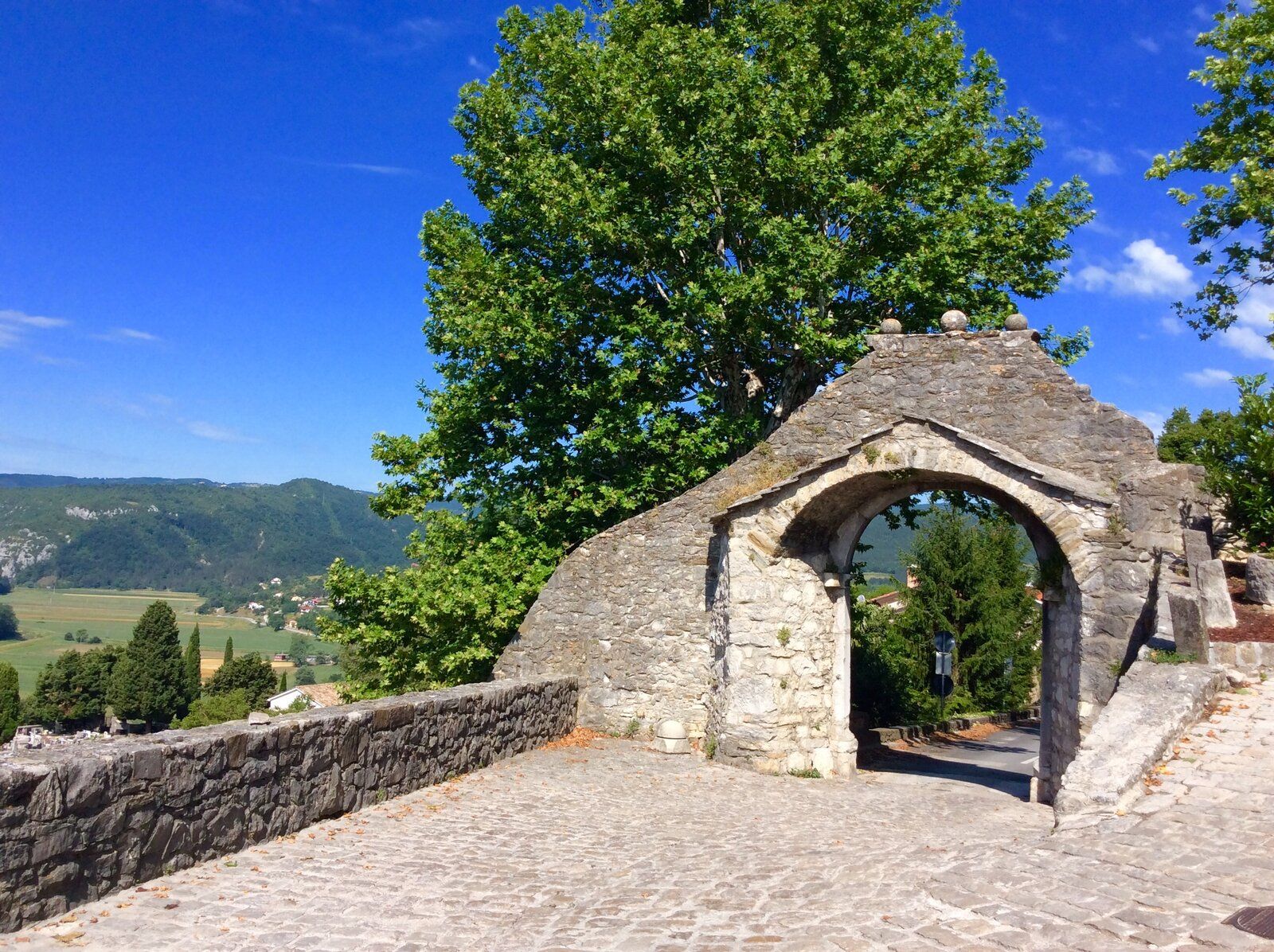 2019-07-08 09.04.37.jpg
