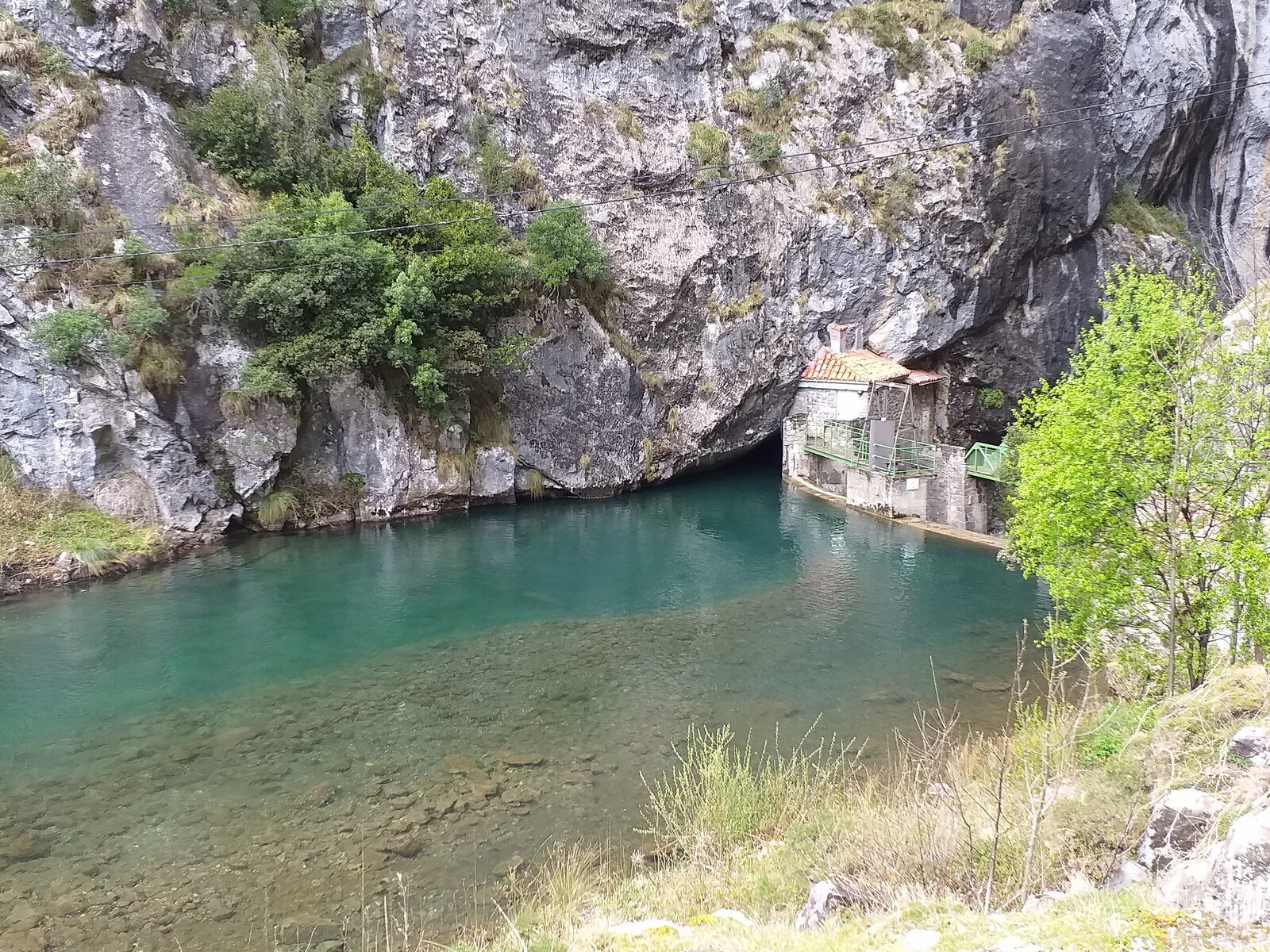 20190409_151401.jpg