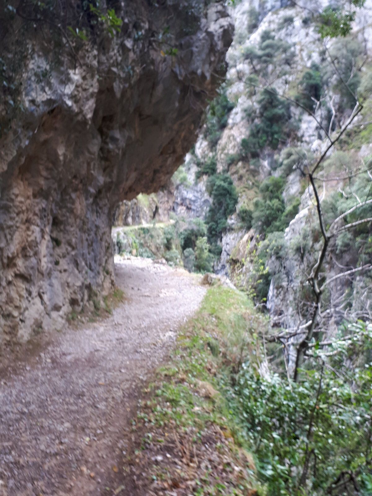 20190409_154732.jpg