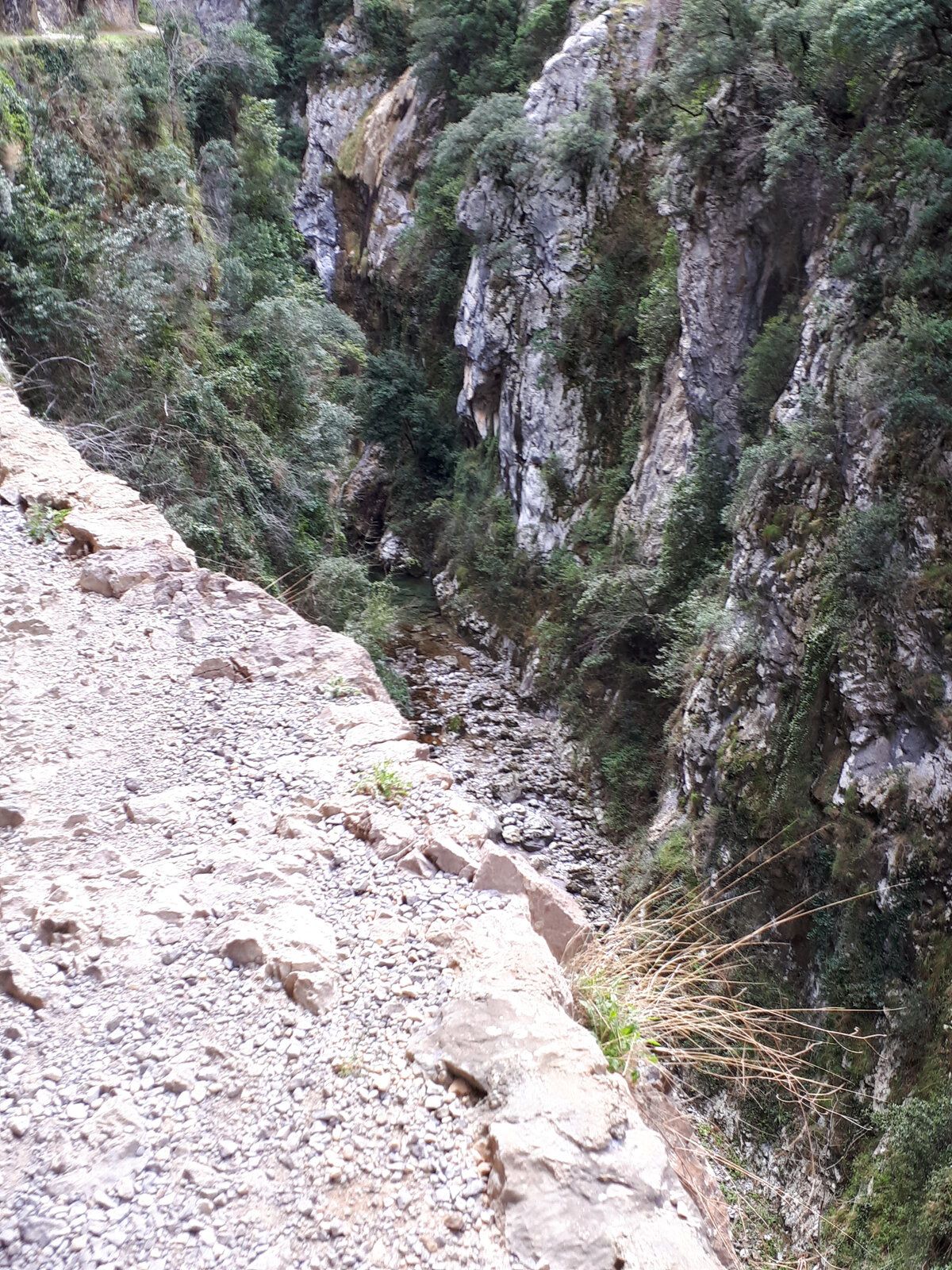 20190409_154752.jpg
