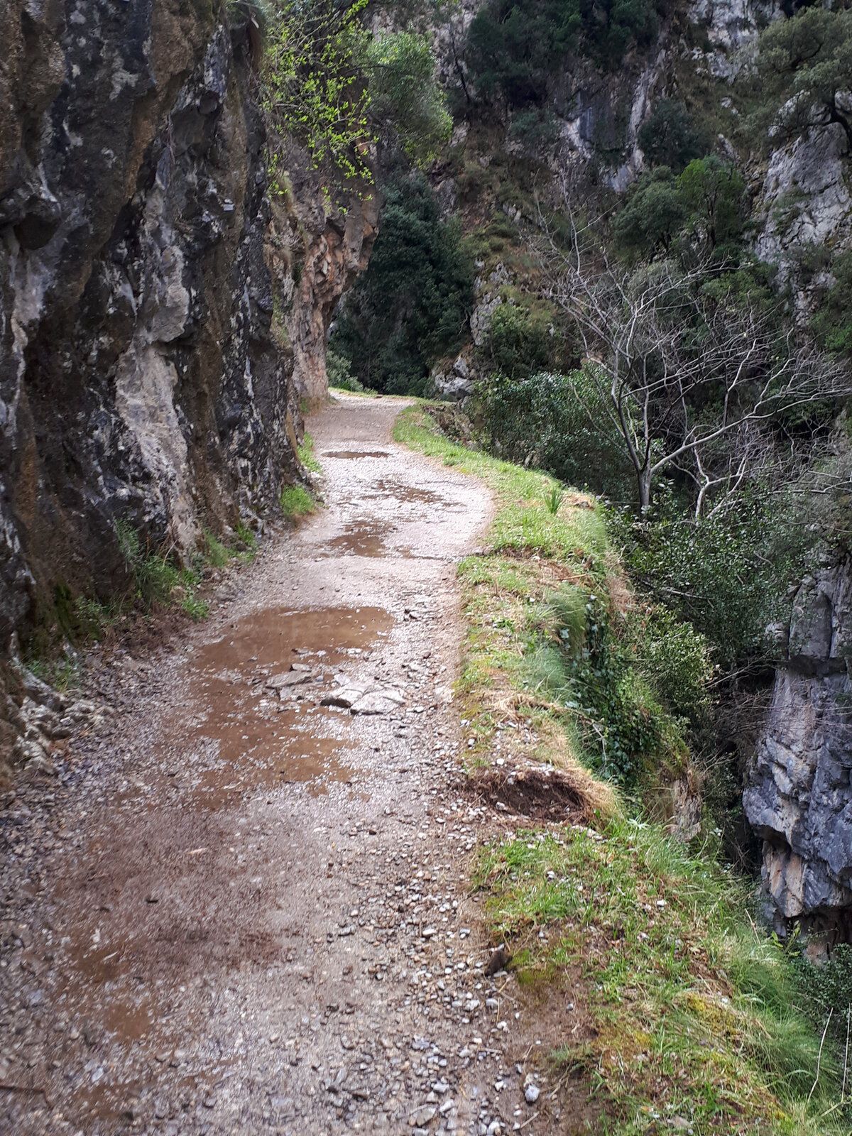 20190409_154906.jpg