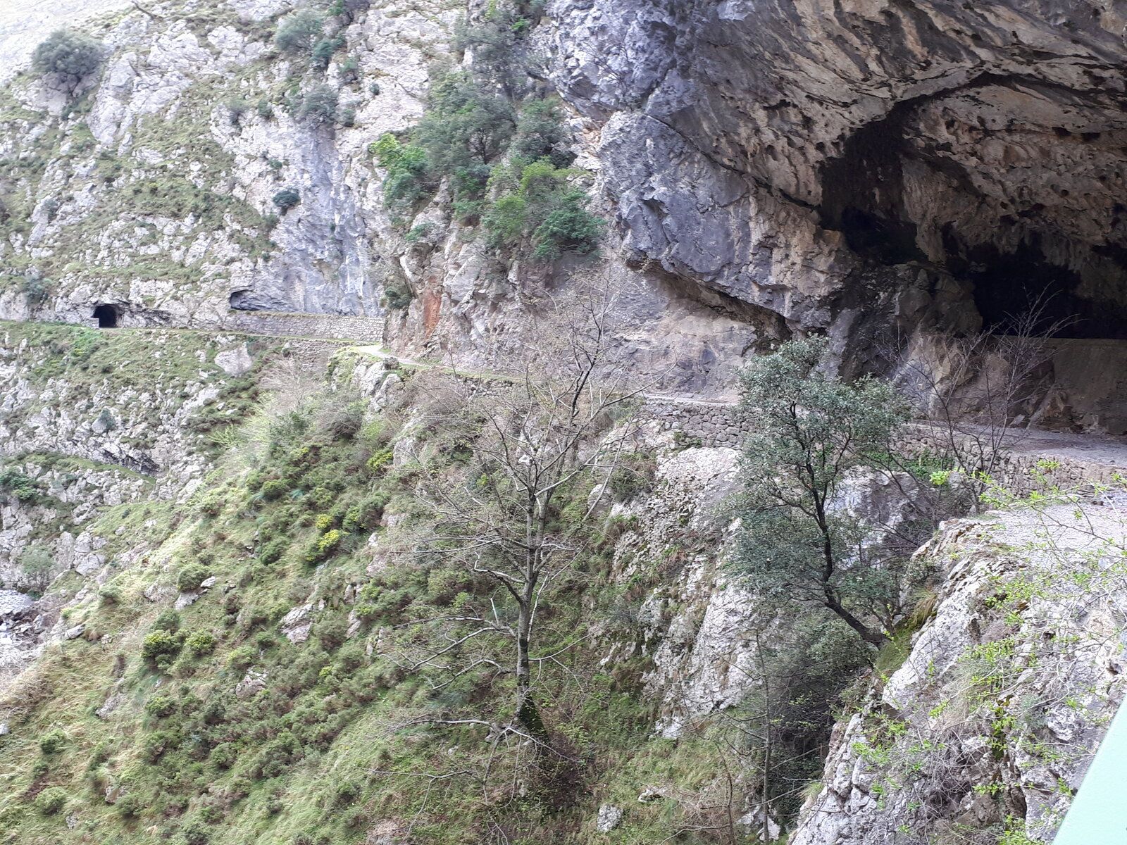 20190409_155349.jpg