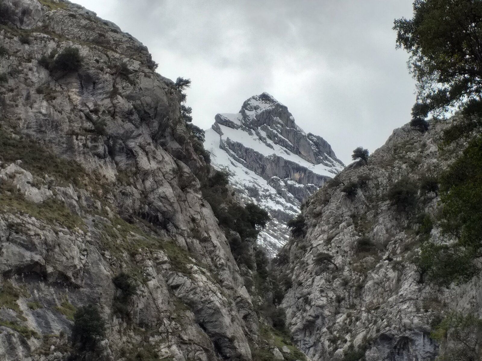 20190409_160423.jpg
