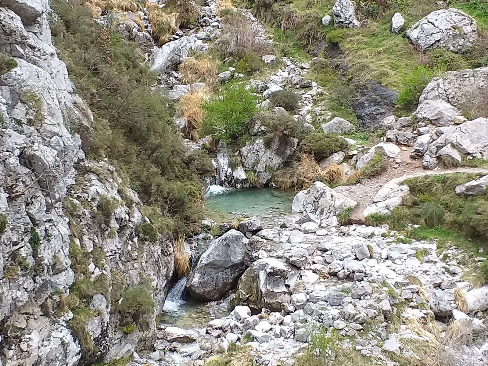 20190409_160452.jpg
