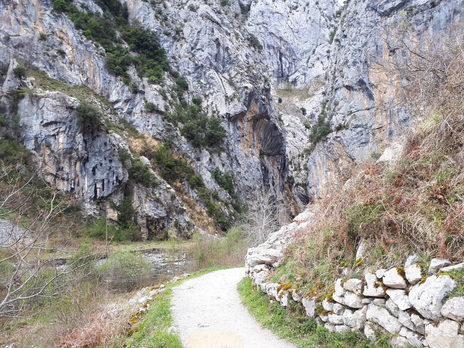 20190409_161557.jpg
