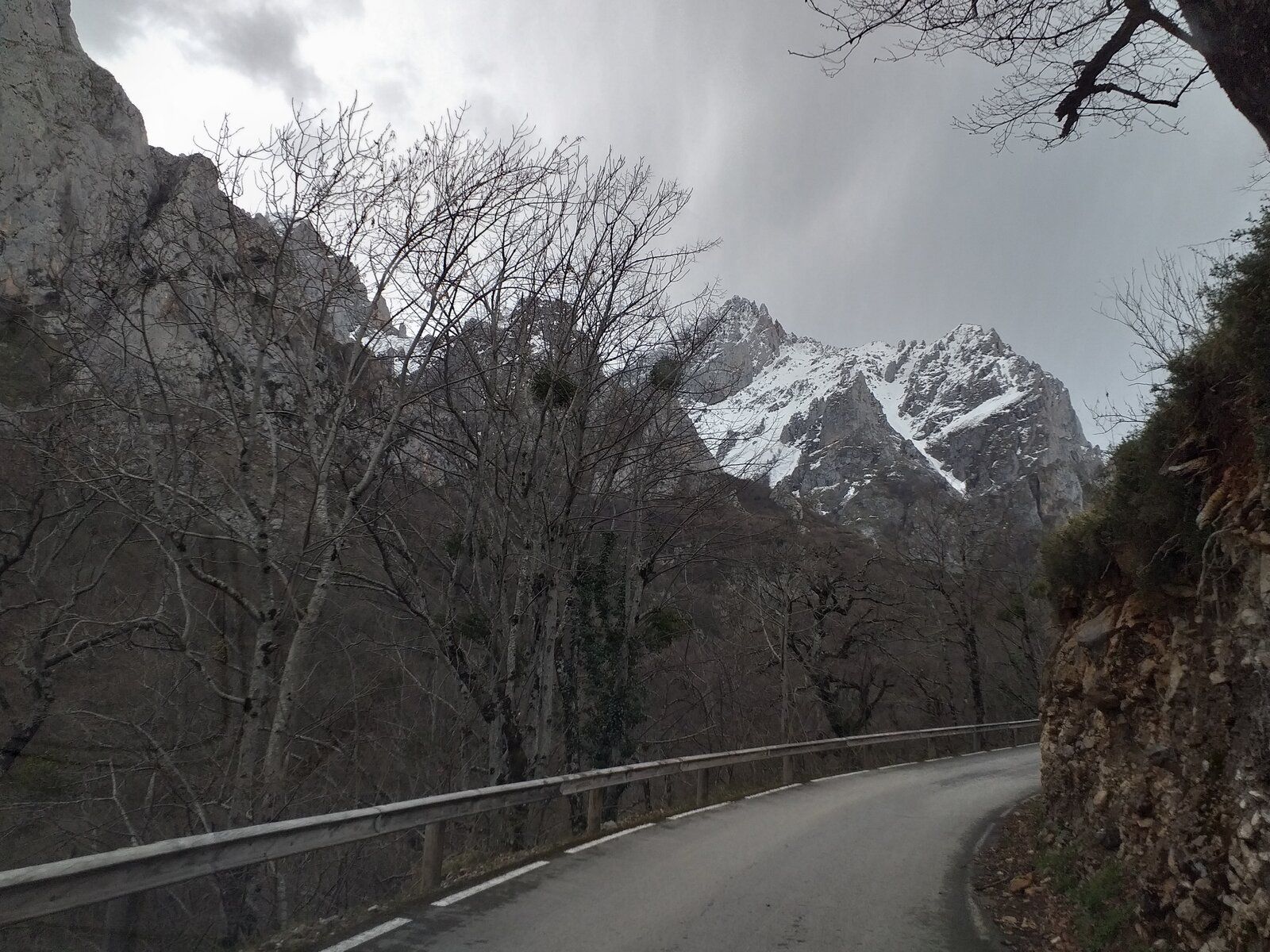 20190409_165341.jpg