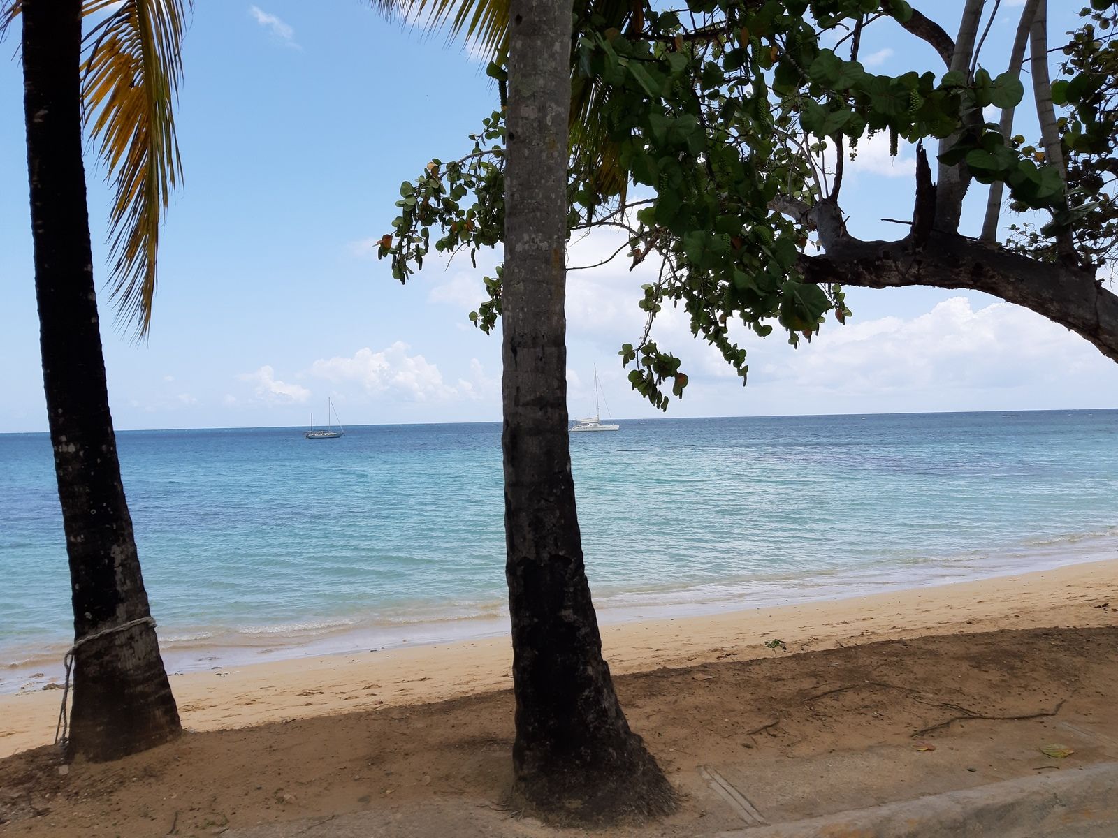 20190612_115103 (Copiar).jpg