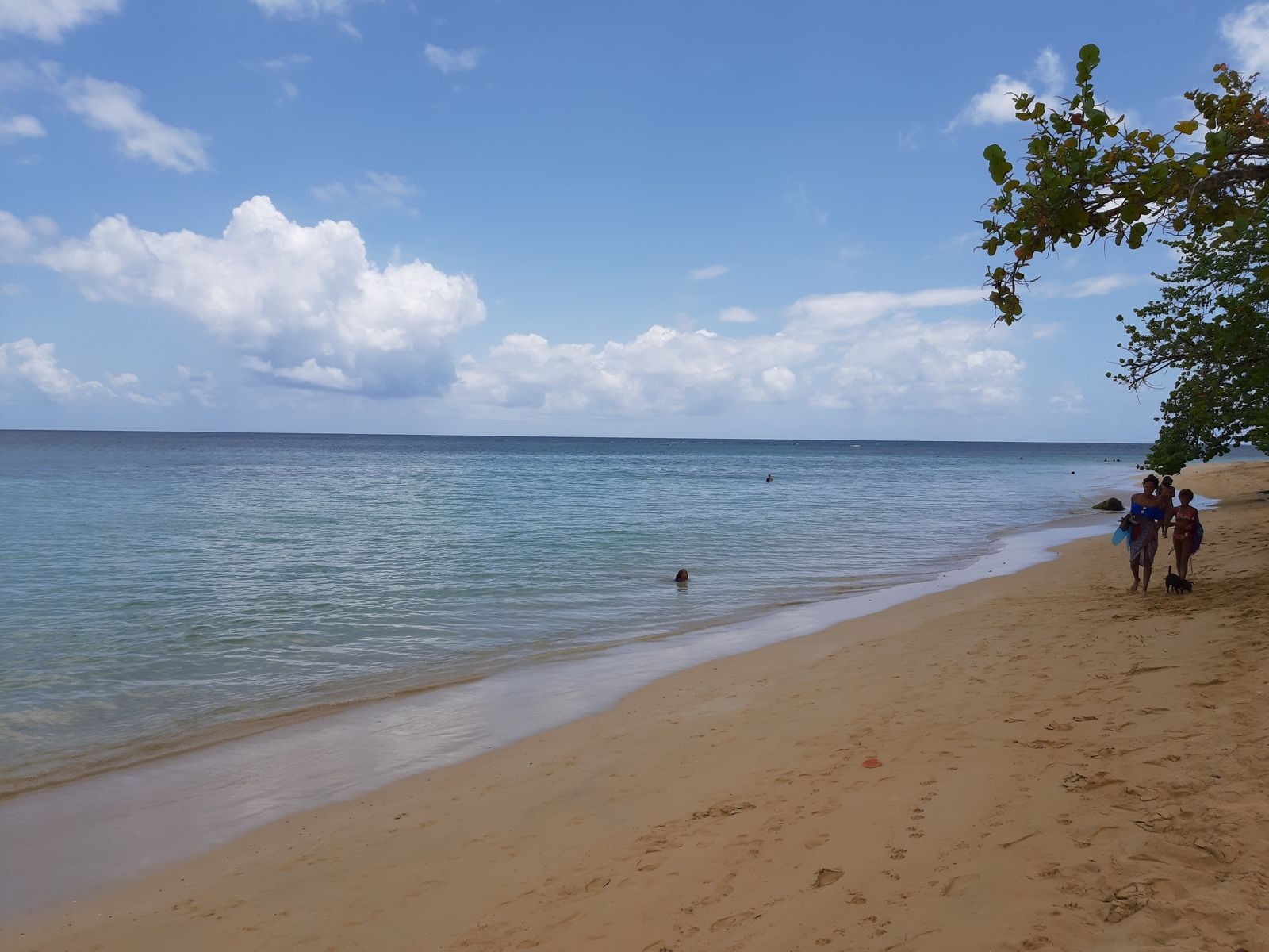 20190612_115543 (Copiar).jpg