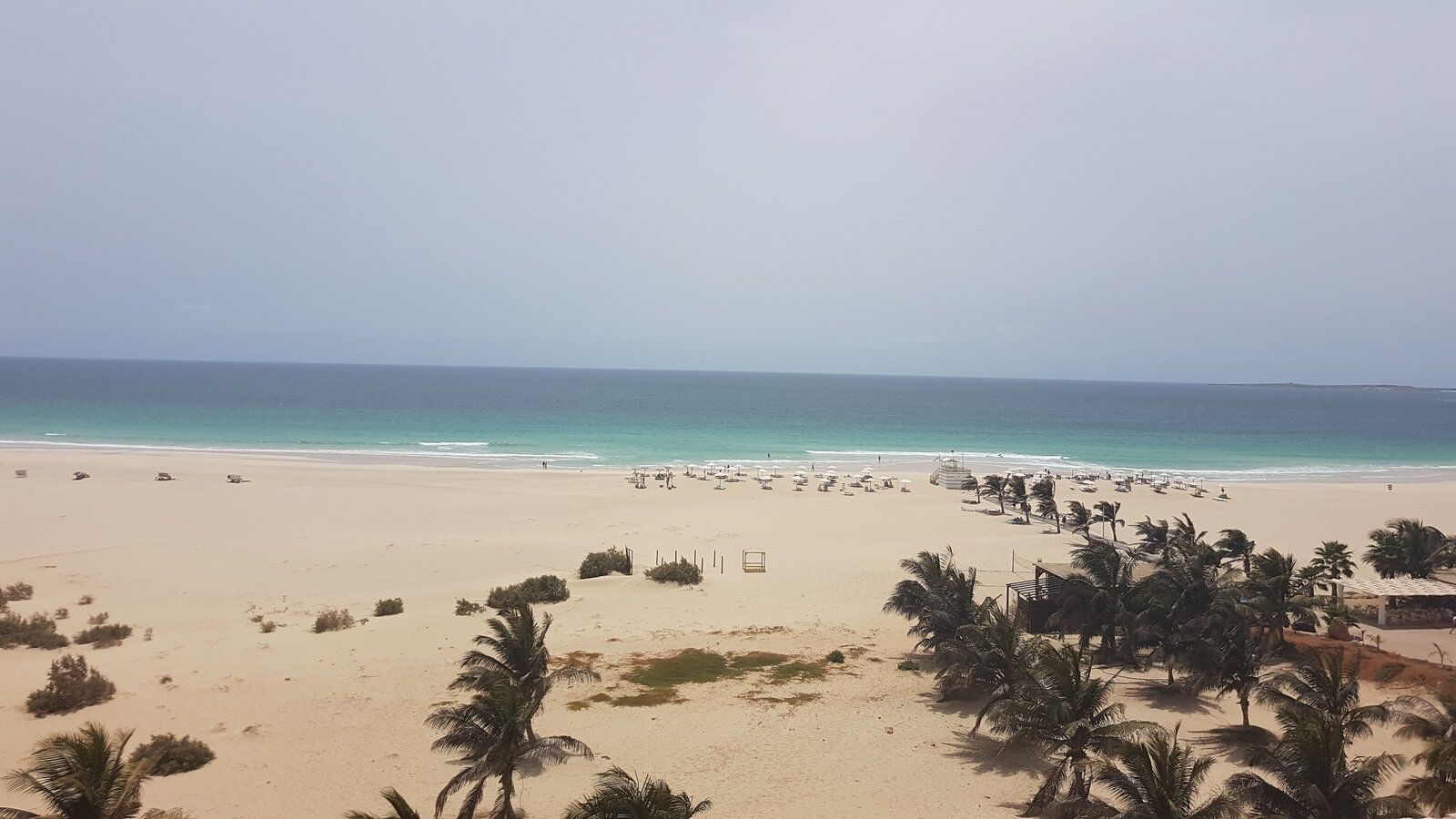 20190615_153119.jpg