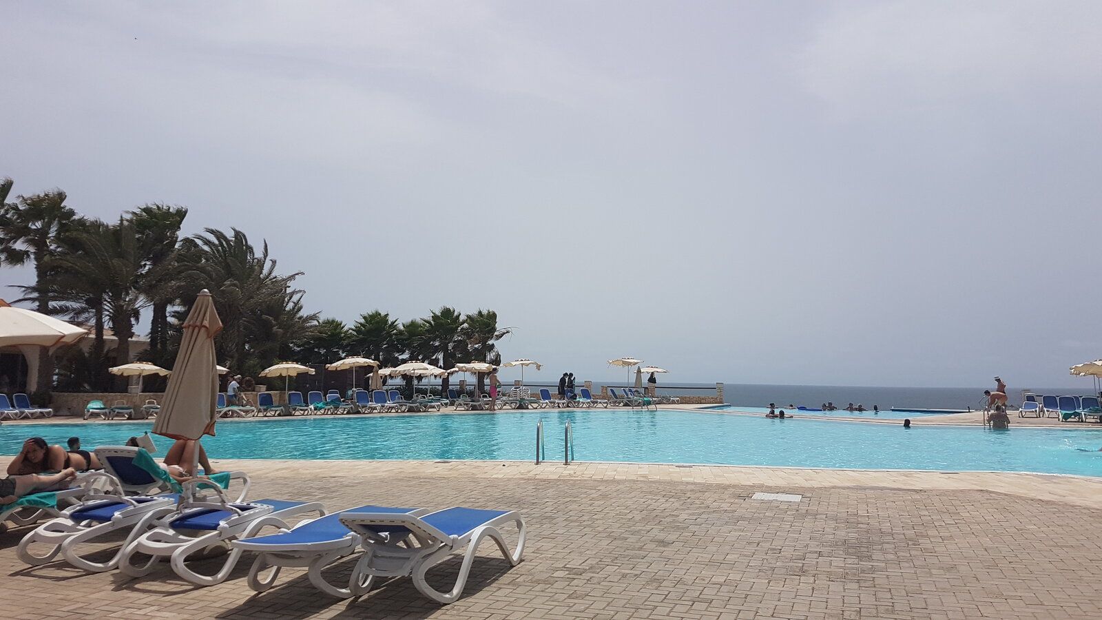 20190615_160842.jpg