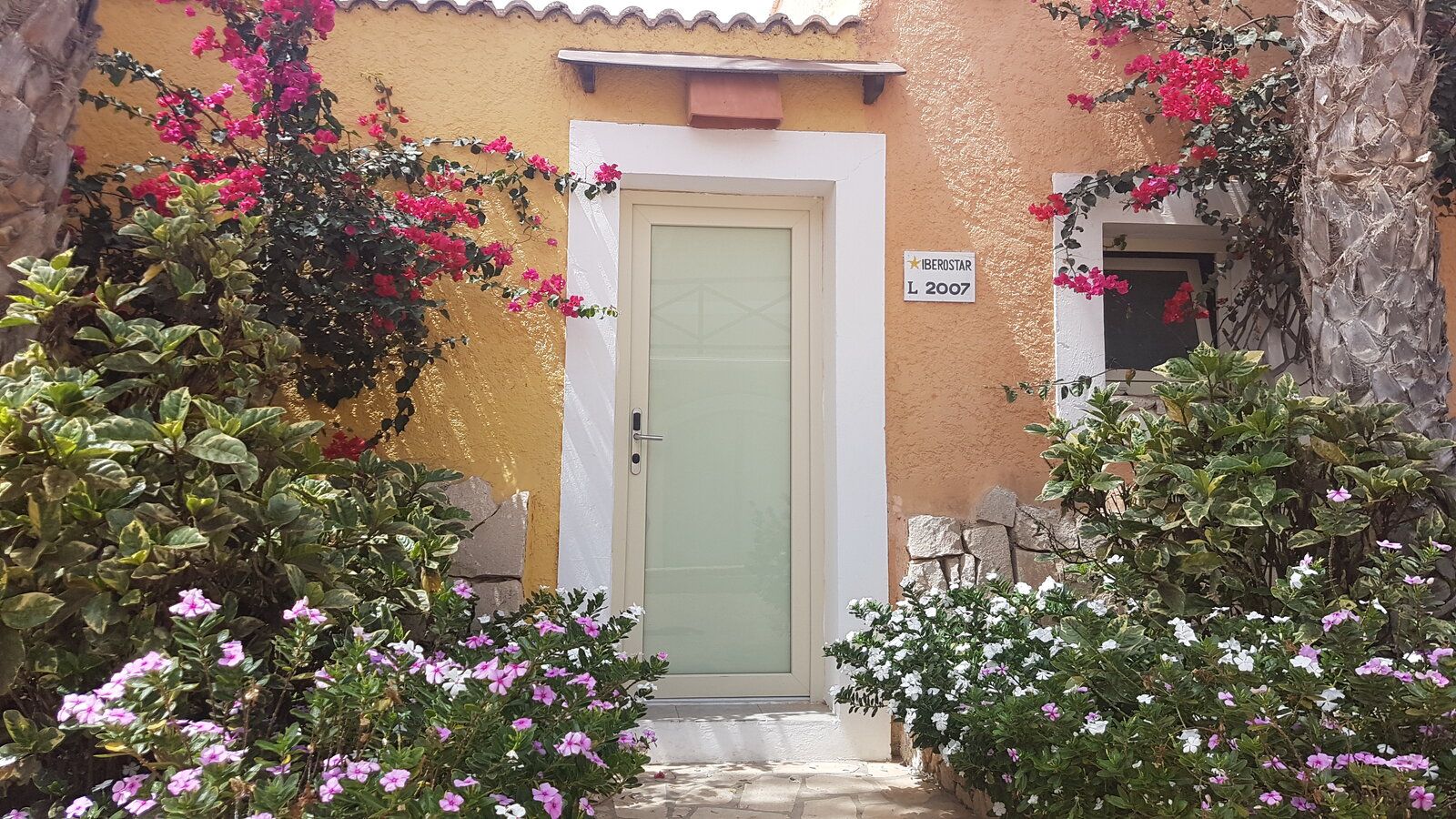 20190615_161341.jpg