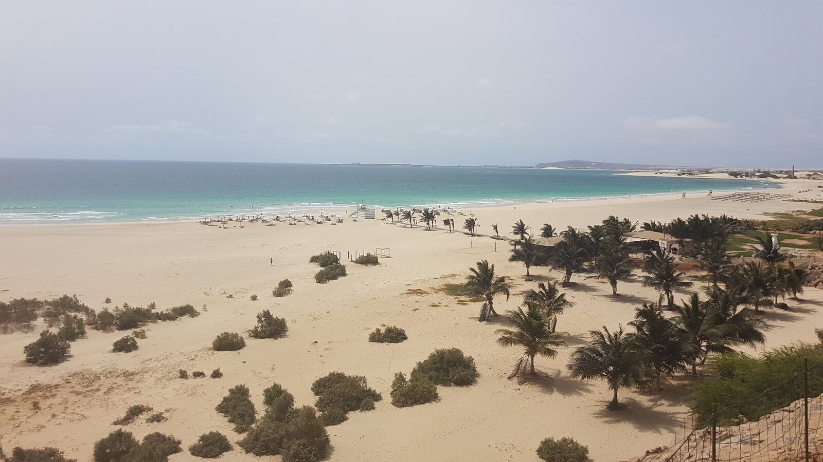 20190615_164254.jpg