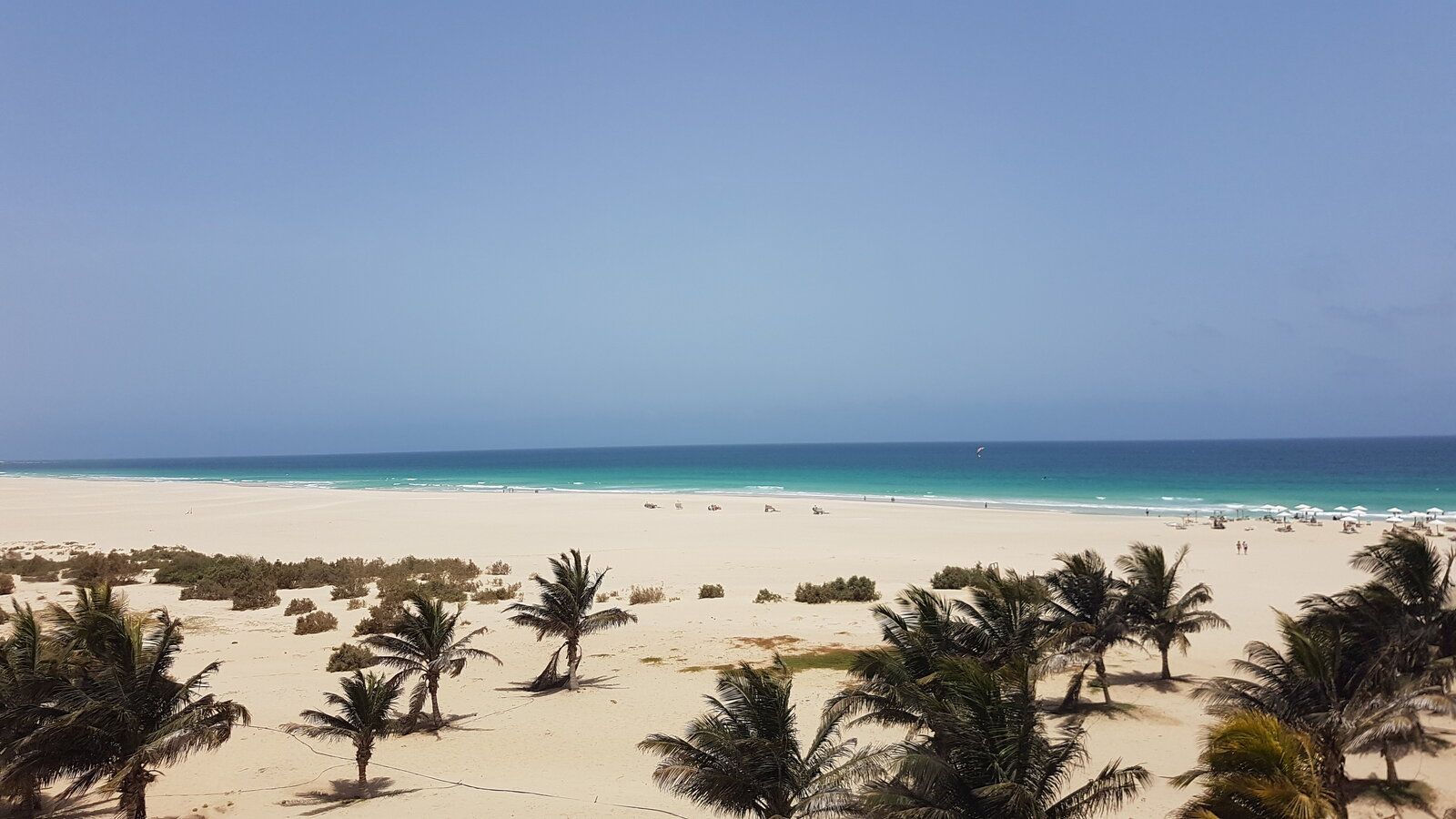 20190616_134700.jpg