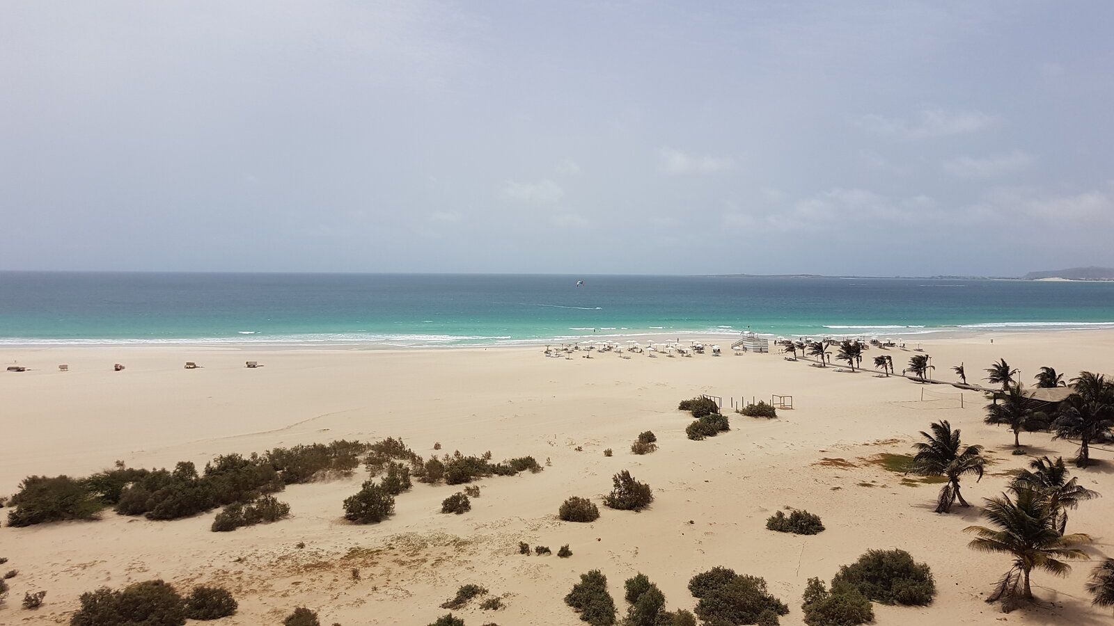20190616_155028.jpg