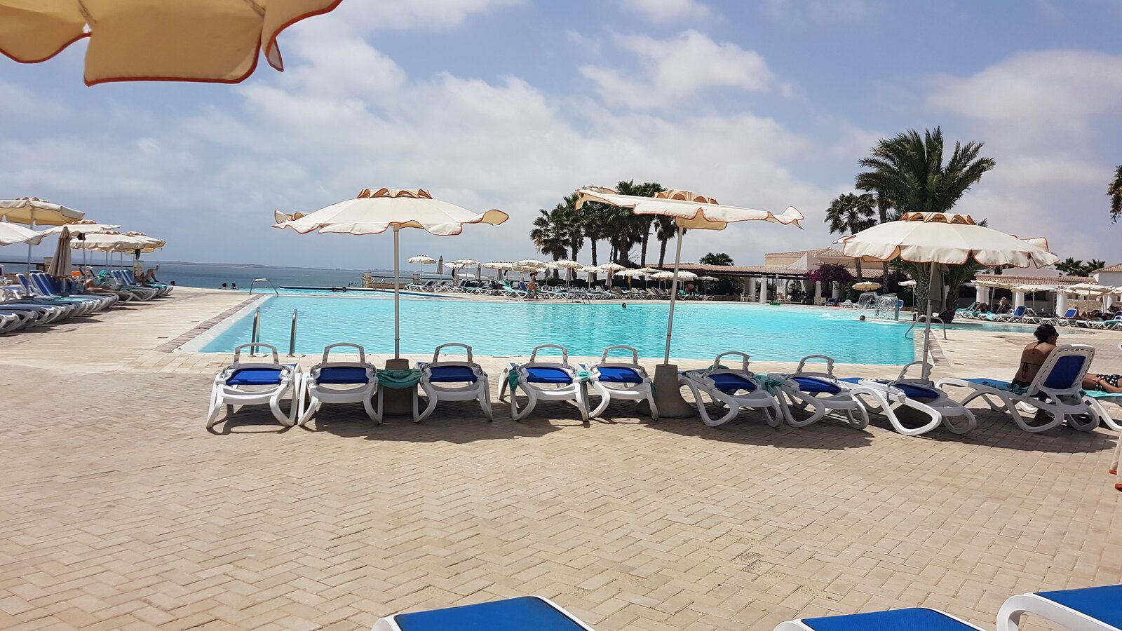 20190620_154912.jpg