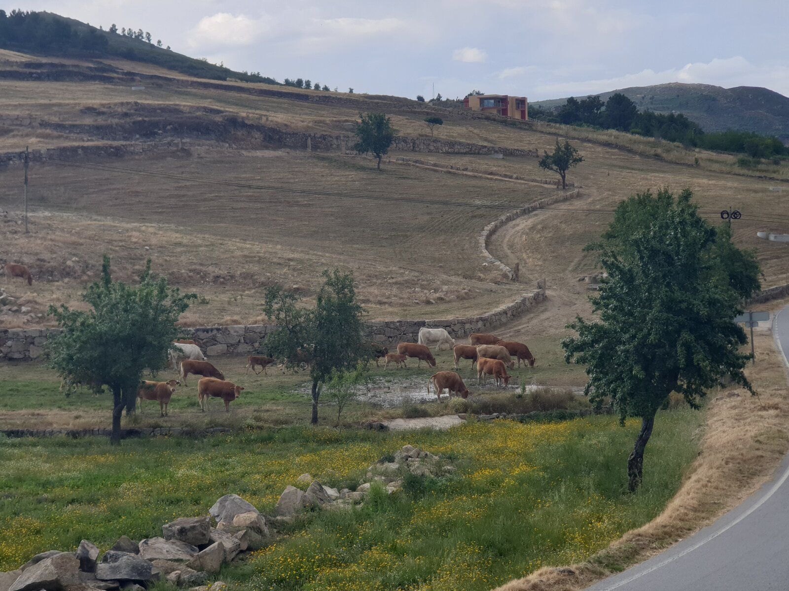 20190620_173611.jpg