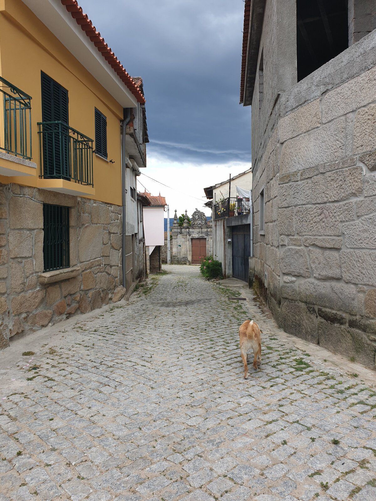 20190620_175540.jpg