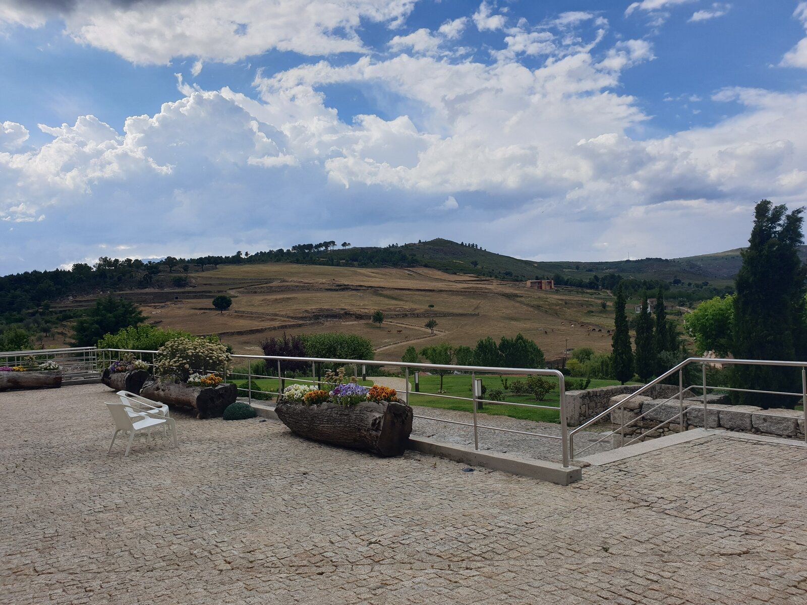 20190620_175726.jpg