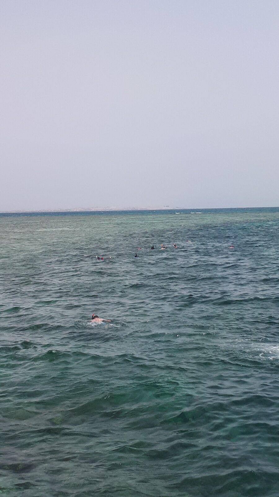 20190621_094921.jpg