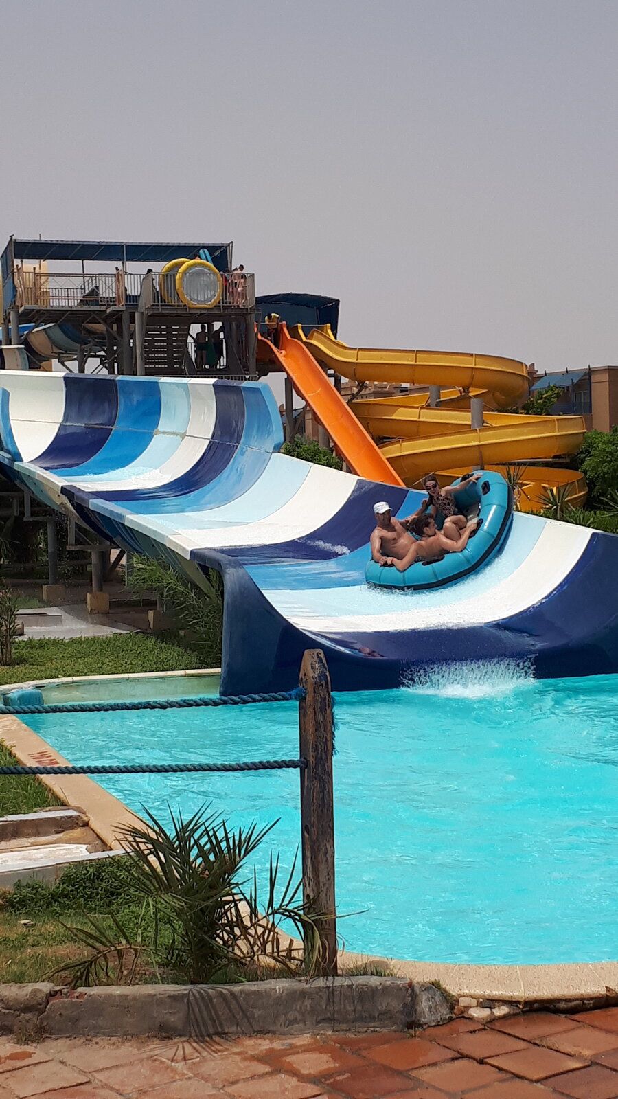 20190621_104540.jpg