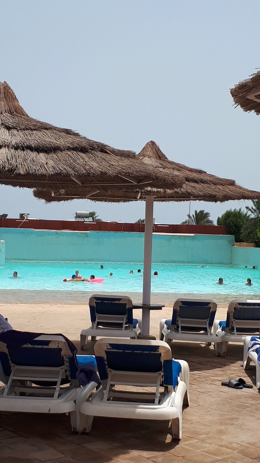 20190621_104605.jpg