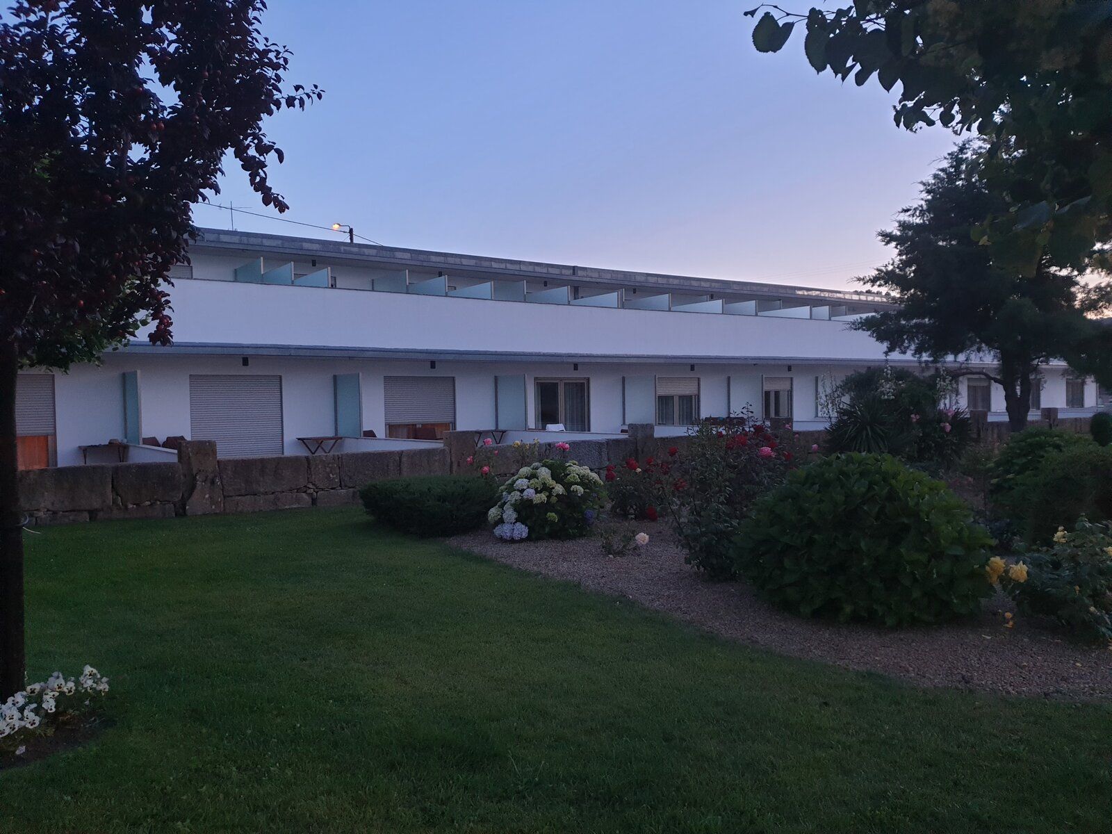 20190621_212411.jpg