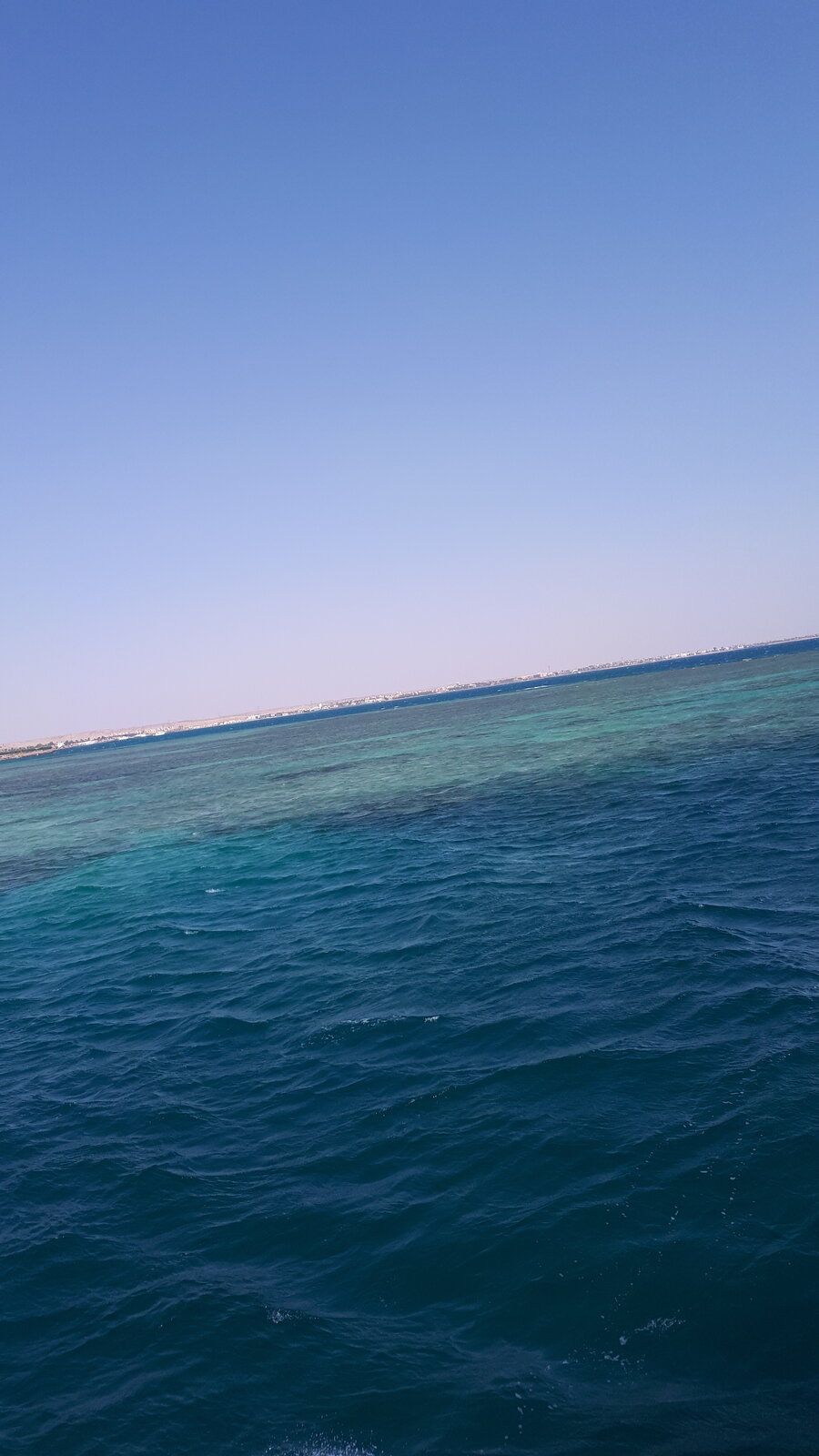 20190622_082943.jpg