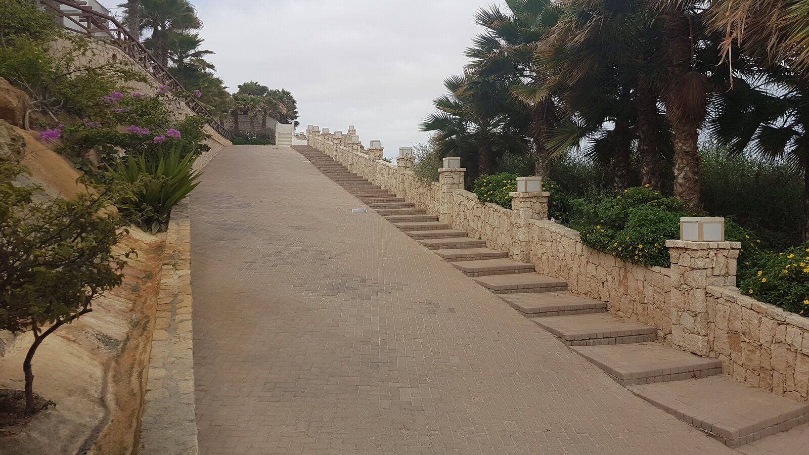 20190622_102759.jpg