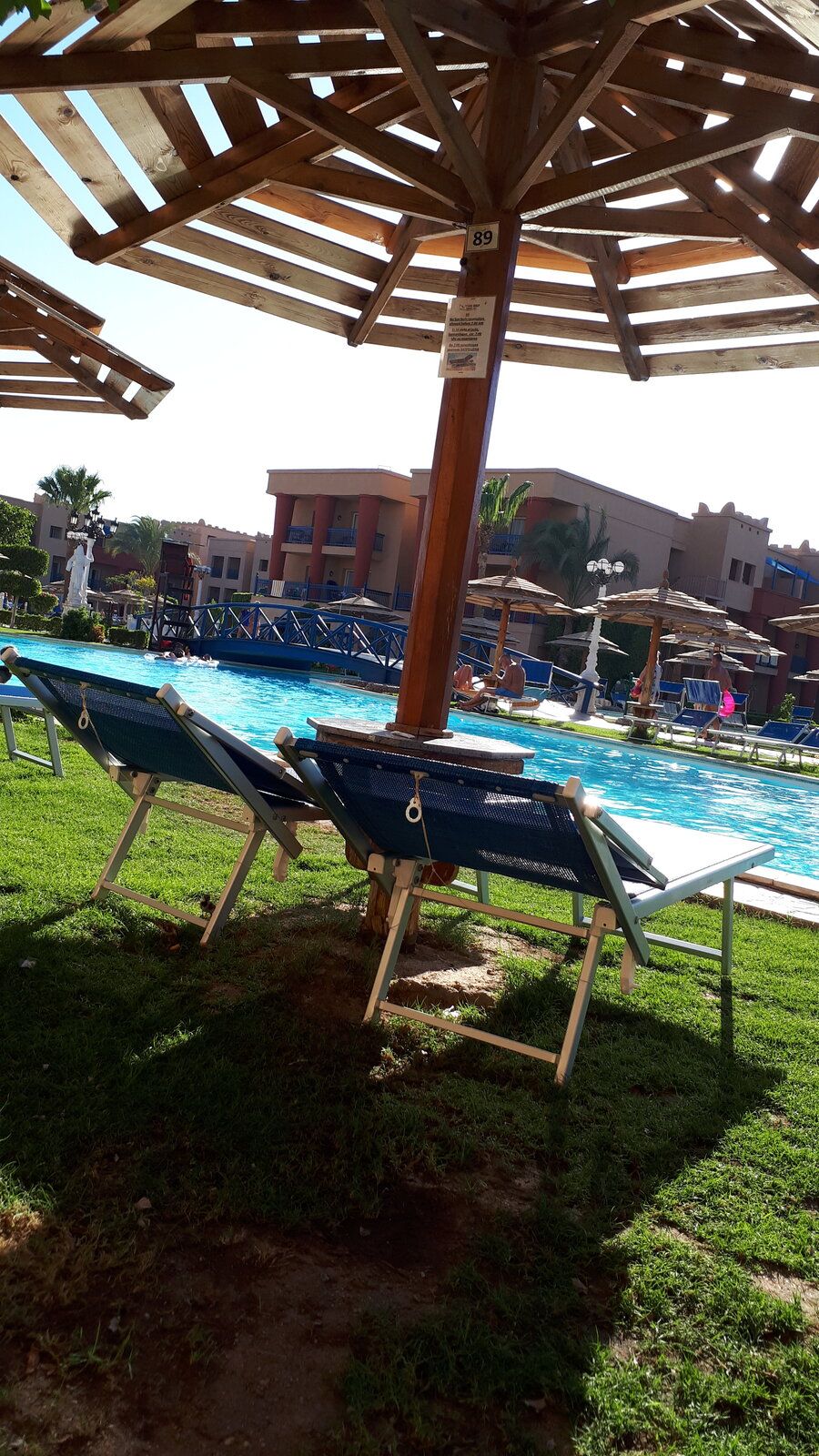 20190623_164651.jpg