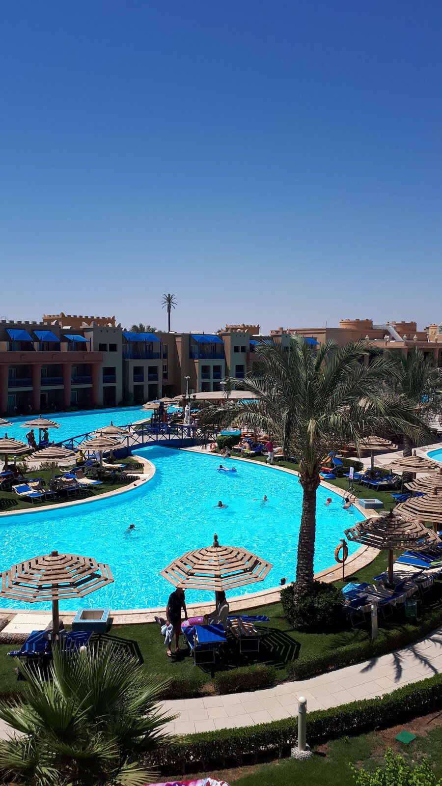 20190624_102055.jpg