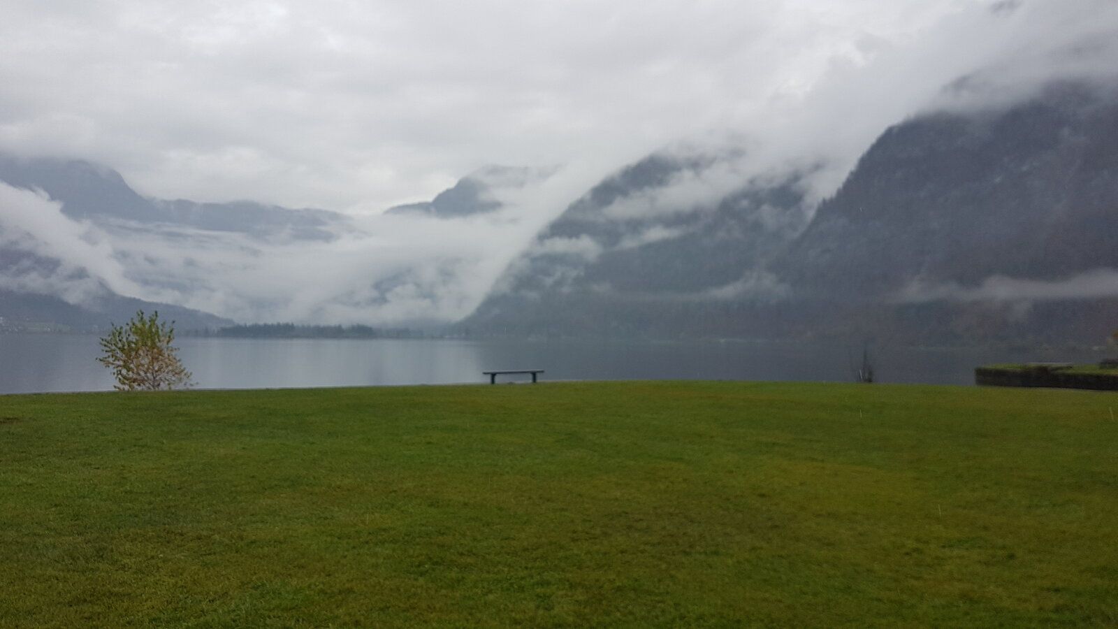 20191028_114246.jpg