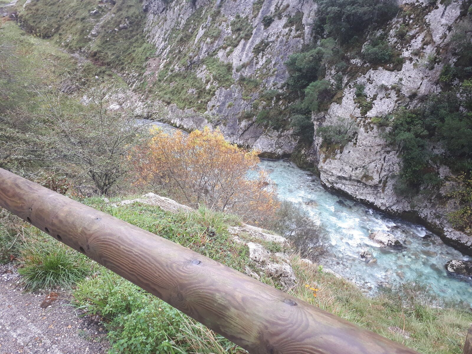 20191101_115739.jpg