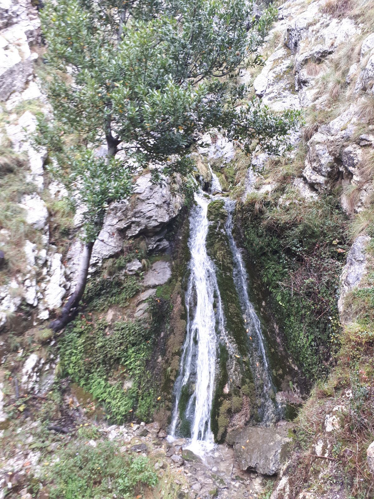 20191101_122735.jpg