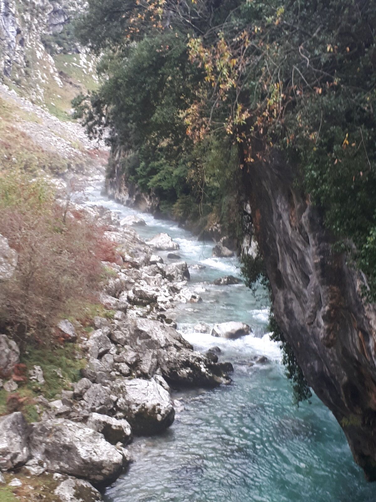 20191101_123512.jpg