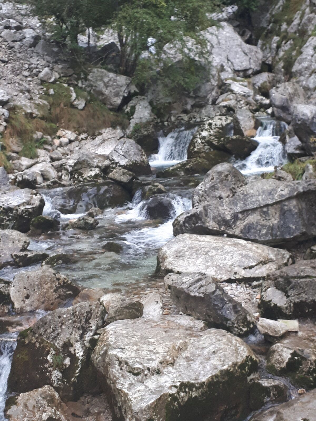 20191101_124305.jpg