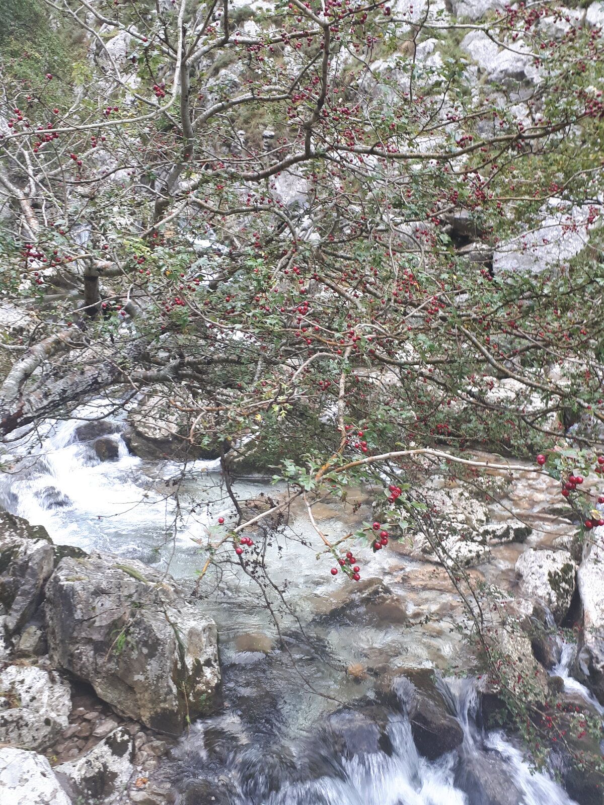 20191101_124336.jpg